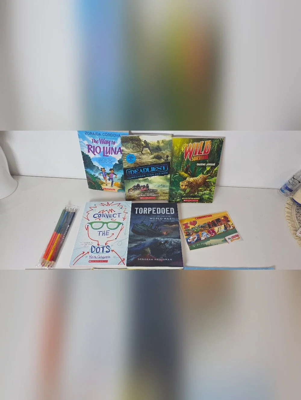 Scholastic 6th Grade Book Bundle